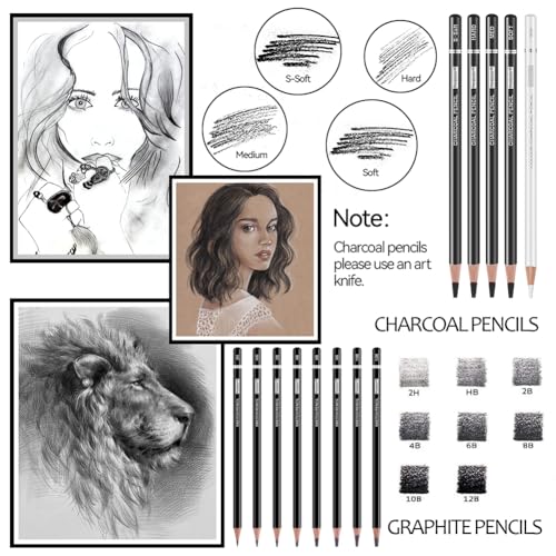 PANDAFLY Drawing Sketching Pencil Set, 22 Piece, Graphite Pencils (12B-2H)