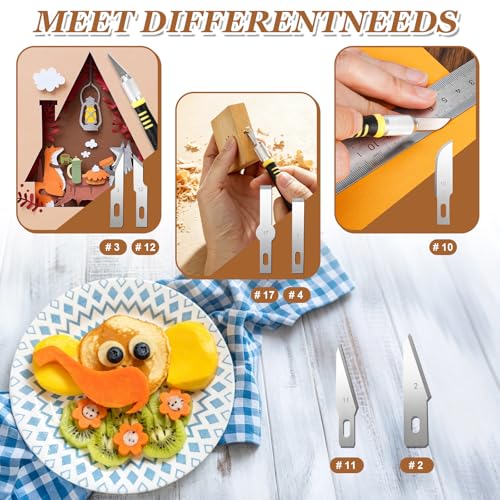 Exacto Knife Set, Precision Craft Hobby Knife Kit, 16 PCS knife set with Storage Case, for DIY Crafting, Paper, Leather, Foam, Vinyl, Fruits, Pumpkin, Models, 3D Printing, Junk Journal Supplies