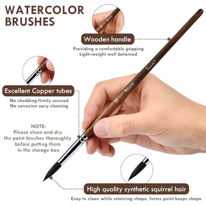Brusarth Watercolor Brushes, Synthetic Squirrel Hair Paint Brush Set | 10 Pcs Soft Synthetic Squirrel Paint Brushes, Including Pointed Rounds, Flats, Dagger, Cats Tongue, Oval Wash