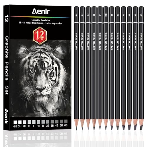 Aenir Drawing Pencils for Sketching, Set of 12 Sketch Pencils, 6B-4H | Art Supplies for Beginners & Artists: Art Pencils for Sketching Projects, Graphite Pencils for Drawing and Shading - size: 1 Count (Pack of 12)