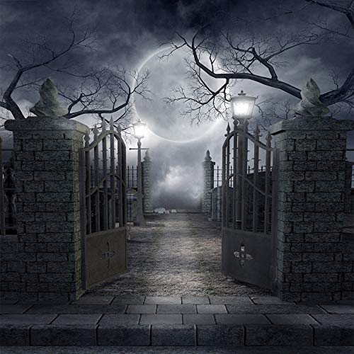 8X8FT Halloween Theme Pictorial Cloth Seamless Customized Photography Backdrop Background Studio Prop TP17B - size: 8X8FT