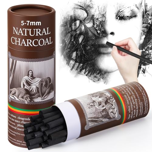 Gueevin 50 Pcs Soft Willow Charcoal Sticks Drawing,5-7mm | For Artists Beginners Students, Vine Charcoal Bulk for Sketching Shading Fine Art, Assorted Sizes, Back to School Gifts - size: 5-7mm