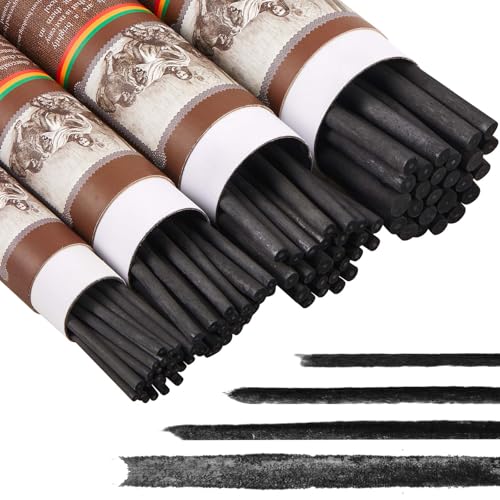 Gueevin 100 Pcs Soft Willow Charcoal Sticks Drawing,2-4mm,4-5mm,5-7mm,7-9mm | For Artists Beginners Students, Vine Charcoal Bulk for Sketching Shading Fine Art, Assorted Sizes, Back to School Gifts - size: 2-4mm,4-5mm,5-7mm,7-9mm