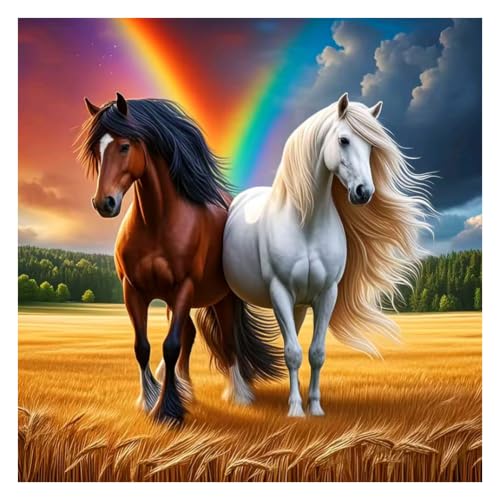 hill froeistung 5D Horses Diamond Art Painting Kits for Adults, Beginners, | Animal Diamond Art,DIY Full Drill Rainbows Diamond Painting for Wall Decor,12x12inch - color: HF-A076