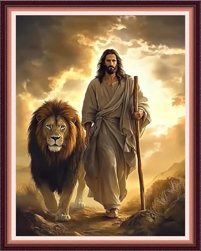 Fanxvivy Stamped Cross Stitch Kits for Beginners Full Range of Cross Stitching Preprinted Embroidery Kits for Adults, 11CT Embroidery Pattern Needlepoint Kits-Jesus and the Lion 16x20 inch - color: Artdesign13