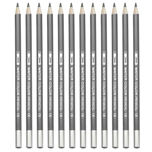 PATIKIL Watercolor Pencil, 12Pcs Water Soluble Pencils for Blending, Coloring, Sketch Drawing, Painting, Grey - color: Grey