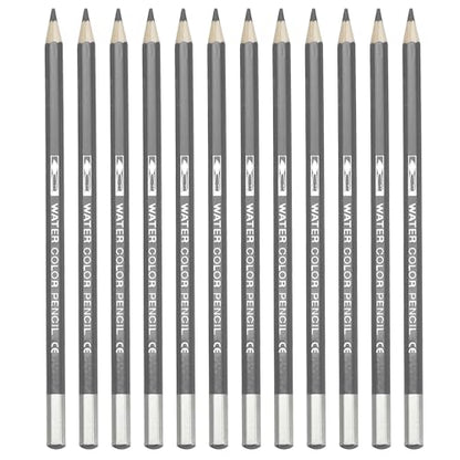 PATIKIL Watercolor Pencil, 12Pcs Water Soluble Pencils for Blending, Coloring, Sketch Drawing, Painting, Grey - color: Grey