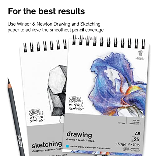 Winsor & Newton Studio Collection, Sketching Pencils, Set of 10 | Soft, Thick Core pencils, Varied Hardness, Soft Smooth Texture, Easy Blending, Stylish Metal Tin Included, High Quality Lead - style: 10 Sketching Pencils