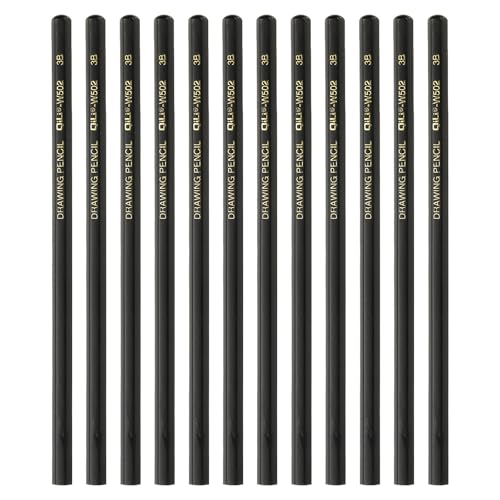 PATIKIL 12Pcs 3B Drawing Pencils for Sketching, Hexagonal Sketch Pencils for Drawing Writing Art Sketching Artists Beginners, Black - style: 3B