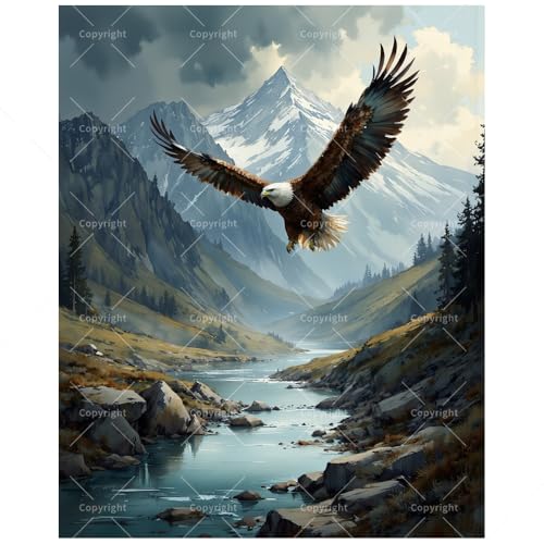 Eagle Soaring Paint by Numbers Kit for Adults - DIY Wildlife Painting on Canvas 16x20 Inches, Acrylic Paint Set, Suitable for Beginners, Perfect for Home Decoration or Gifts. - color: HSX01188, size: 16X20IN Folded