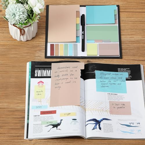 Mr. Pen- Transparent Sticky Notes Set, 410 Pack | Transparent Sticky Notes Tabs with Black Fineliner Pen for Bible Study, Office, School, Planning, Journaling & Organization - color: Morandi, size: 1 Set