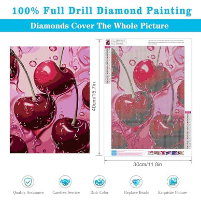 AIBOERL 2 Pack Diamond Art Kits for Adults,Retro Cherry Diamond Painting | Round Drill Fruit Diamond Painting for Beginners DIY Rhinestone 5D Diamond dots(Gemstone Craft)Wall Art Gift 12x16IN - color: DP01980