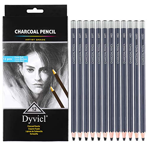 Dyvicl Professional Charcoal Pencils Drawing Set - 12 Pieces Soft Medium and Hard Charcoal Pencils for Drawing, Sketching, Shading, Artist Pencils for Beginners & Artists