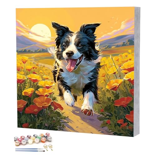 TBAIRO Framed Paint by Numbers Kit for Adults Beginner Dog DIY Painting Kits for Kids Ages 8-12 Animals Easy Adult Paint by Number Kits on Canvas for Wall Art Decor 8x8 Inch - color: Dog