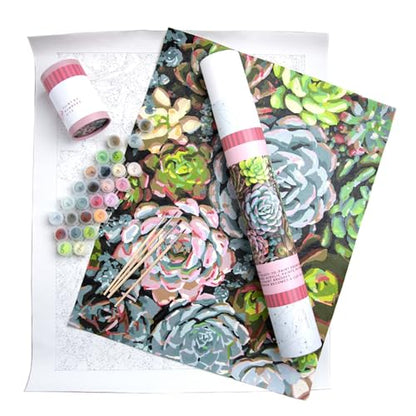 Pink Picasso Paint by Number Kit, Adults & Teens,16x20,Sensitive Succulents | Botanical Floral Collection, Acrylic Paints and Brushes included, Pre-printed high quality canvas, DIY art kit, Gift-ready - color: Sensitive Succulents