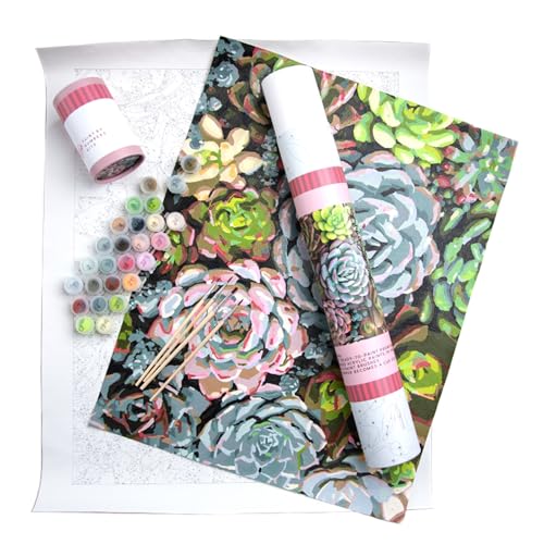 Pink Picasso Paint by Number Kit, Adults & Teens,16x20,Sensitive Succulents - color: Sensitive Succulents