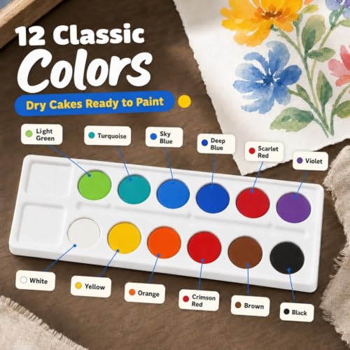 Color Swell Bulk Dry Watercolors, 12 Colors, 10 Pack | Brushes - size: 10 Pack | 12 Colors