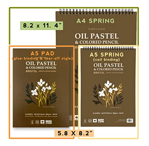 2 Pack of Papelsino, Bristol Paper Sketchbook for Dry Media Oil Pastel, Colored Pencil, Pencil Drawing Vellum Surface (A4 Spring 2Pack, 11.7 x 8.27)