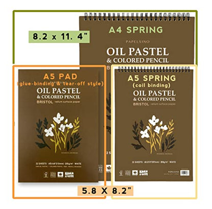 2 Pack of Papelsino, Bristol Paper Sketchbook for Dry Media Oil Pastel, Colored Pencil, Pencil Drawing Vellum Surface (A4 Spring 2Pack, 11.7 x 8.27)