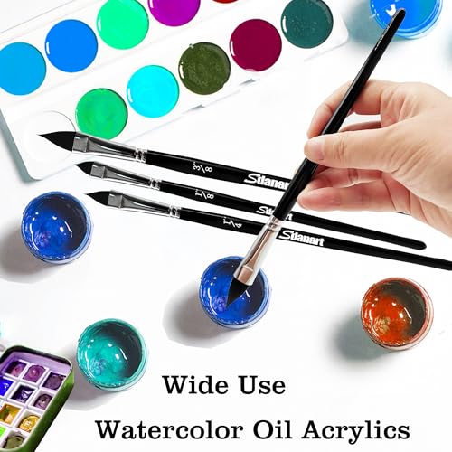 Sdanart Cat Tongue Watercolor Brushes,4 PCS Oval Wash Paint Brushes | Floral Petal Watercolor Brush，Pointed Oval Paintbrush Professional Cat's Tongue Paint Brush Artist Painting Paintbrushes