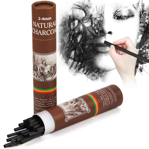 Gueevin 25 Pcs Soft Willow Charcoal Sticks Drawing,2-4mm | For Artists Beginners Students, Vine Charcoal Bulk for Sketching Shading Fine Art, Assorted Sizes, Back to School Gifts - size: 2-4mm