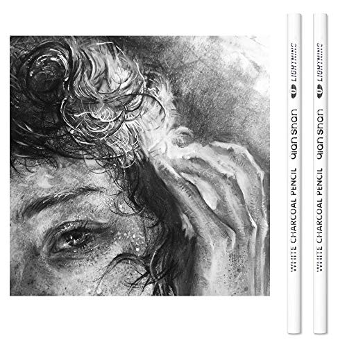 2 Pcs White Sketch Charcoal Pencils -Professional Hight Quality Sketch Highlight White Charcoal Wooden Pencils for Artist Drawing, Sketching, Blending - color: 2 white charcoal