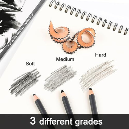 Sunshilor Professional Charcoal Pencils Drawing Set, 12 Pieces Soft Medium Hard Charcoal Pencils for Drawing, Sketching, Shading, Artist Pencils for Beginners & Artists
