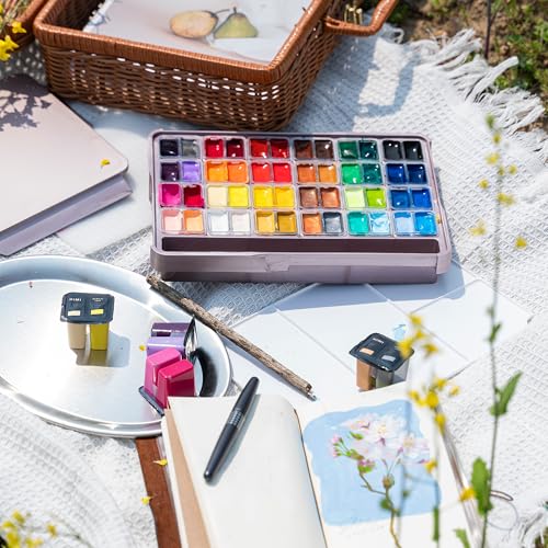 HIMI Twin Cup Jelly Acrylic Paint Set, 48 Colors 12g, High Viscosity, Blendable, Paints on Rocks Crafts Canvas Wood, Fabric, Ceramic & Stone, Art Craft Paints Gifts for Artists Beginners & Painters - color: 48colors