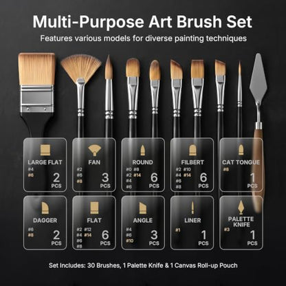 Nicpro 30pcs Paint Brush Set, Professional Paintbrushes with Paint Spatula and Cloth Roll, Craft Paint Brushes for Acrylic Painting, Oil, Watercolor, Gouache, Art Supplies for Artists and Beginners - color: Black