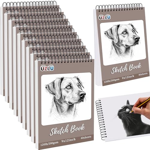 10 Pack 400 Sheets Heavyweight Sketchbook 9 x 12 in 200GSM Very Thick Mixed Media Art Drawing Paper Bulk Top Spiral Bound Sketch Pad Marker Paper Hardcover Acid Free for Artist Beginner Art Supplies - size: 9 x 12"-400 Sheet-10 Pcs