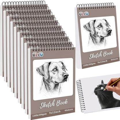 10 Pack 400 Sheets Heavyweight Sketchbook 9 x 12 in 200GSM Very Thick Mixed Media Art Drawing Paper Bulk Top Spiral Bound Sketch Pad Marker Paper Hardcover Acid Free for Artist Beginner Art Supplies - size: 9 x 12"-400 Sheet-10 Pcs