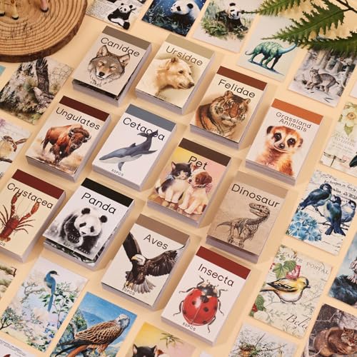 12 Sets 600 Sheets Washi Stickers Book for Journaling, Jungle Animal Sticker, Wild Zoo Sea Animal Aesthetic Scrapbook Dinosaur Sticker Set for Bullet Journal Card Craft Gift Rewards for Kid Notebook - style: Animal Style