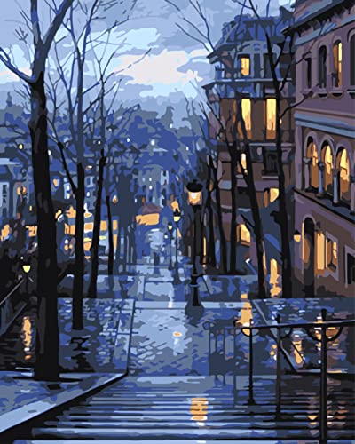QUITEDEW Paint by Number for Adults,City Paint by Number,Night View Oil Painting Street Scenery Suitable for Home Wall Decoration 16x20 Inch - color: A9-evening