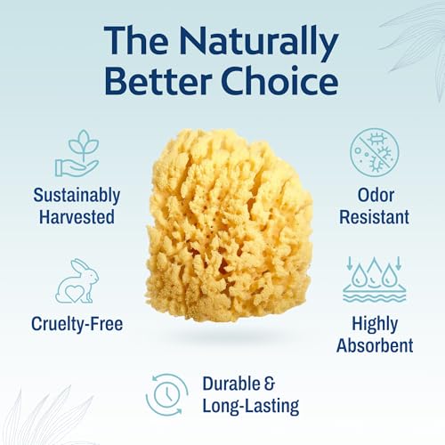 HartFelt Gentle Exfoliation Yellow Sea Sponge 4in | Natural Shower Sponges for Bathing for Men and Women | Rich Lather - size: 1 Count (Pack of 1), style: Yellow Sea Sponge