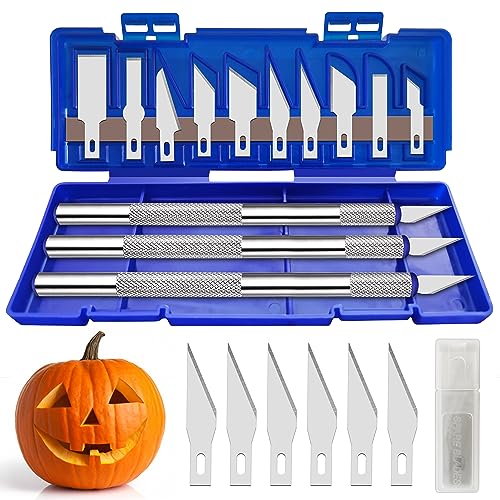 21 Pieces Precision Hobby Craft Knife Set,Razor Sharp Knives for Scrapbooking,Stencil,Art Modeling,Sculpture,Wood Leather,Halloween Pumpkin Carving,Fine Point,Scoring,Chiseling Blade., Black