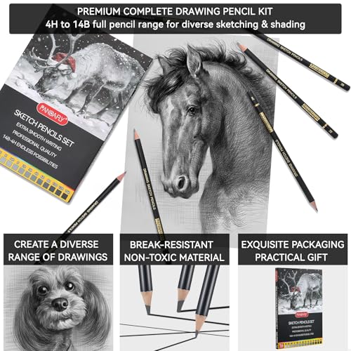 PANDAFLY Drawing Sketch Pencil Set, 16 Piece, 4H to 14B Graphite Pencils
