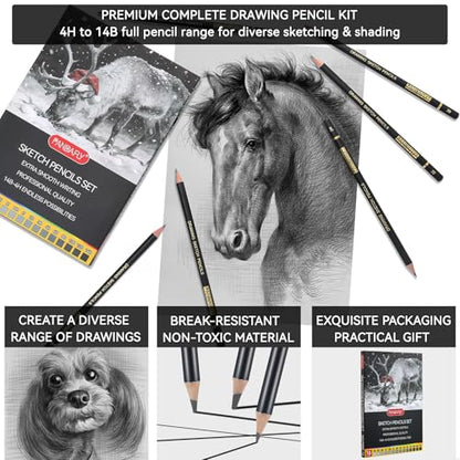 PANDAFLY Drawing Sketch Pencil Set, 16 Piece, 4H to 14B Graphite Pencils