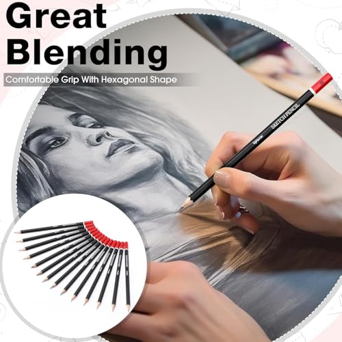 Professional Sketch Pencil Set, 14 Piece Drawing Pencils (12B-6H), Graphite Charcoal Art Pencils with Eraser and Sharpener in Metal Tin Case