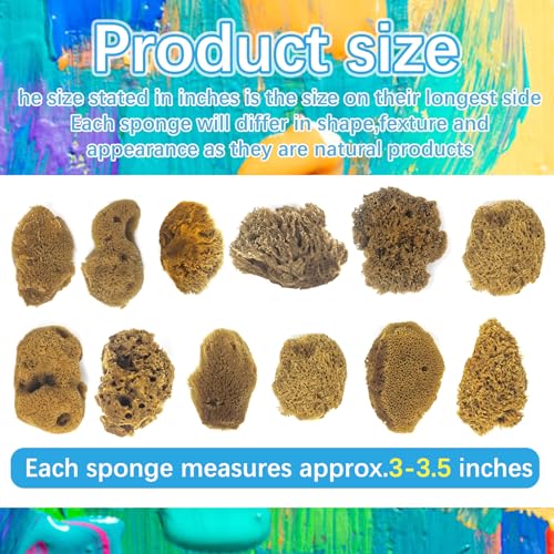 Natural Sea & Synthetic Sponges - Assorted Sizes 8pc Value Pack for Crafts & Artists: Multi - Purpose Art Supply for Professional Painting, Ceramics, Clay & Pottery Projects (8)