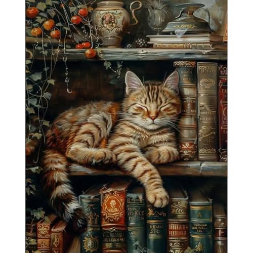 Paint by Numbers Kit for Adults, Sleeping Cat & Bookshelf, 16x20 Inch | DIY Acrylic Painting Kit on Canvas for Beginners, Relaxing Arts & Crafts for Stress Relief, Home Wall Decor & Gift - color: HMOP25309