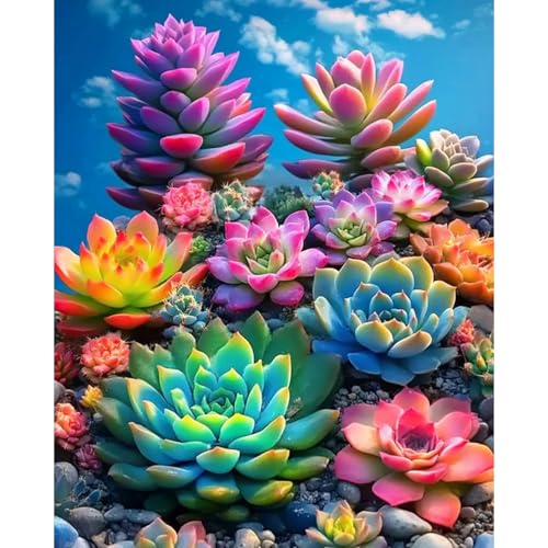 obterie Plant Paint by Numbers Kit for Adults Beginner Succulents Oil Painting Kit Adult Paint by Number Kits on Canvas DIY Painting for Beginners Art by Numbers for Gifts Home Wall Decor 16x20 Inch - color: YF026