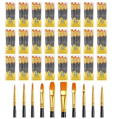 Acrylic Paint Brushes Set, 240Pcs Round Pointed Tip Artist Paintbrushes for Acrylic Painting Oil Watercolor Canvas Boards Rock Body Face Nail Art, Halloween Pumpkin Ceramic Crafts Supplies，Black - color: Black, size: 24 Pack