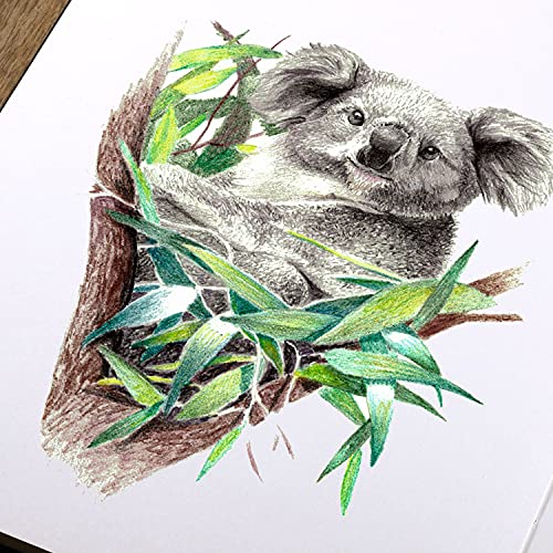 Sketchbook - Hardcover Sketch Pad, 8.5" x 11",Sketch Book 58 Sheets | Durable Sketch Book for Professional Adults, Artists and Amateurs, 68 lb/110 GSM, Use with Pens, Pencils, Sketching Stick