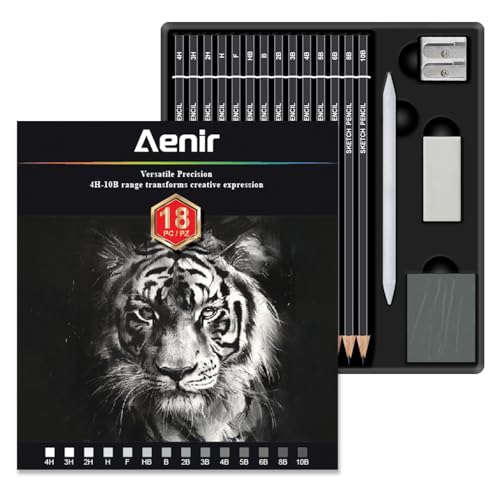 Aenir Sketch Pencils for Drawing, Drawing Pencils Set of 18, 10B–4H Graphite Pencil, Vinyl Eraser, Kneaded Eraser, Sharpener, Blending Stump,Sketch Set for Artists, Art Supplies. - size: 18 Pcs Graphite Pencils Set