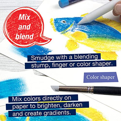 Faber-Castel FC127024 Creative Studio Oil Pastel Crayons (24 Pack), Assorted - size: 24 Count (Pack of 1)
