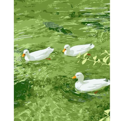 ZRIZQ Paint by Numbers Kit for Adults Beginner,Duck Summer,16x20 | Full set with rich paints,wooden brushes,rolled canvas.Calming,screen-free pastime.Beginner friendly.Just open and paint. - color: 16"X20"Rolled Canvas(Frameless)-Duck 2