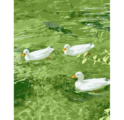 ZRIZQ Paint by Numbers Kit for Adults Beginner,Duck Summer,16x20 - color: 16"X20"Rolled Canvas(Frameless)-Duck 2