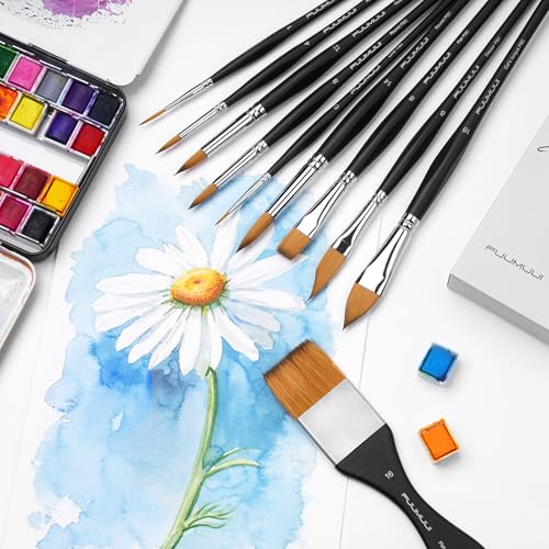 Fuumuui Watercolor Paint Brushes, Professional 10Pcs Synthetic Sable Water Color Brushes for Adult with Wide Flat, Round, Dagger, Cat's Tongue, Liner for Watercolor Gouache Inks Painting - color: Gray