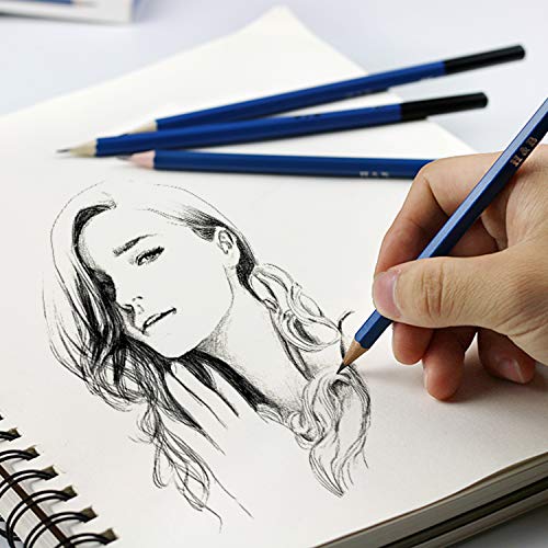 H & B 12 PCS Pencil Drawing Kit, H-4H, F, HB, B-6B Graphite and Charcoal Sketch Pencil Set for Beginners, Professional Artists - size: 12 Count (Pack of 1)