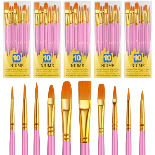 Acrylic Paint Brushes Set, 50Pcs Round Pointed Tip Artist Paintbrushes for Acrylic Painting Oil Watercolor Canvas Boards Rock Body Face Nail Art, Halloween Pumpkin Ceramic Crafts Supplies，Pink - color: Pink, size: 5 Pack